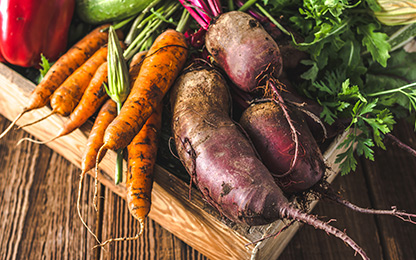 Seznam semen in sadik